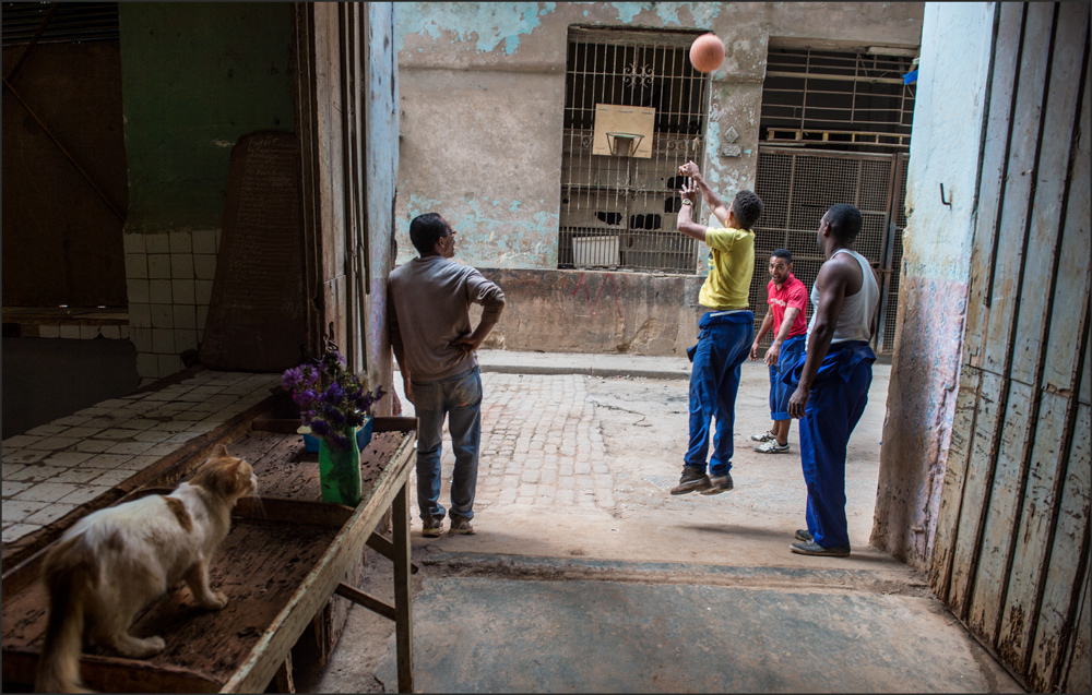 Зрители (shooting hoops)