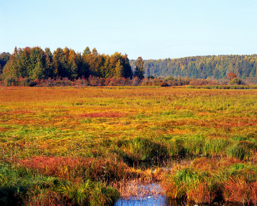 Море осени