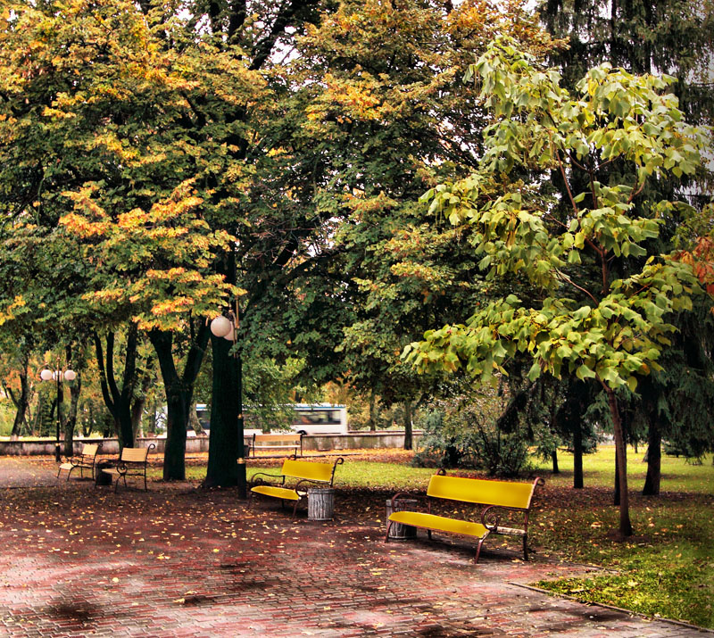 В осеннем парке