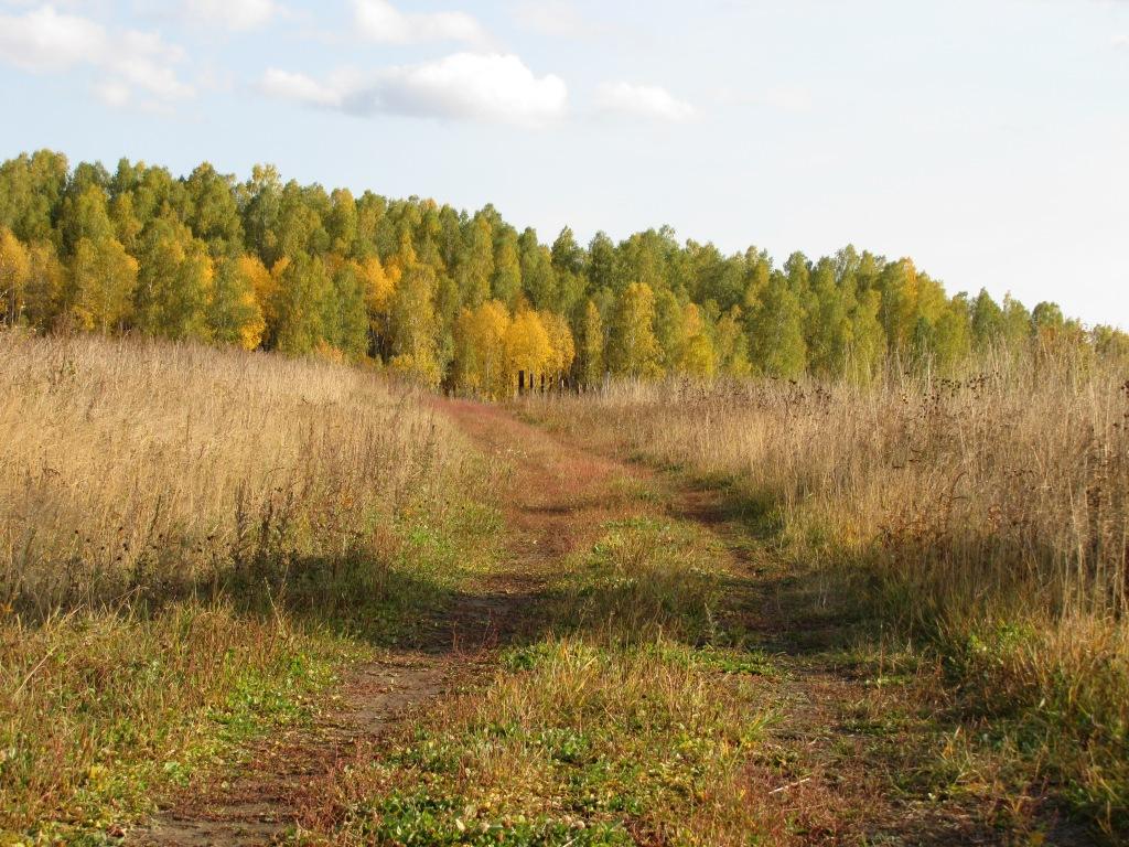 дорога в осень