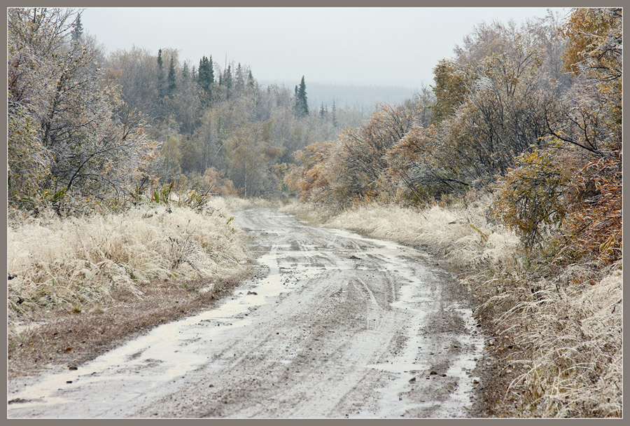 Осенняя пастель