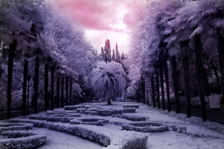 another world
