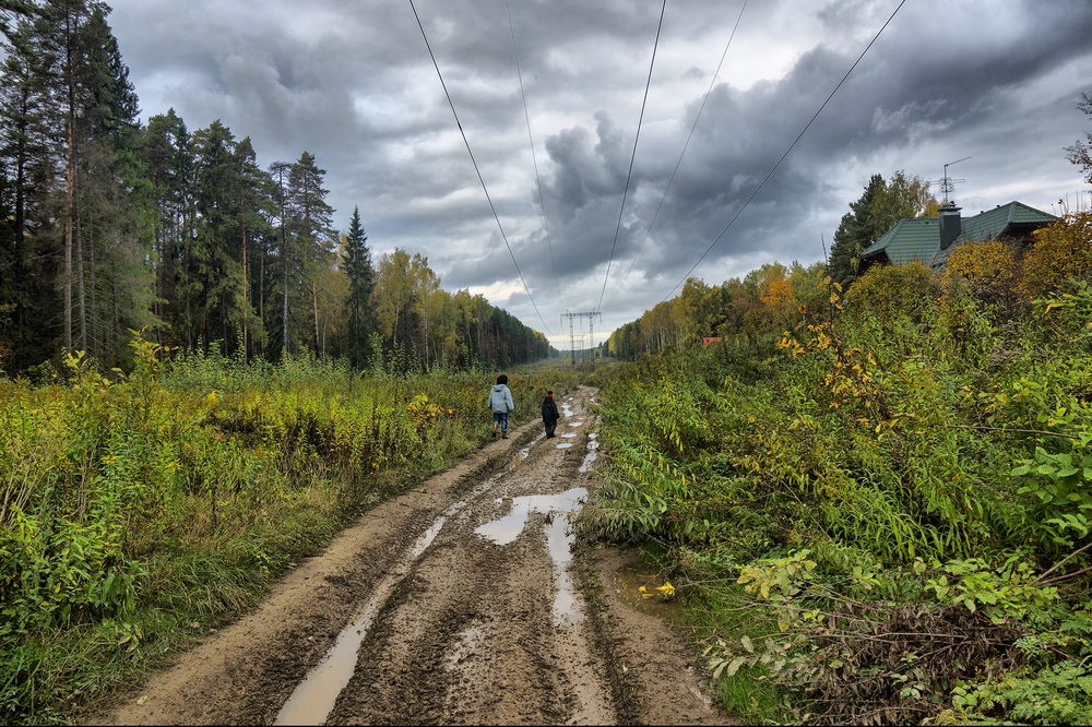 Осенняя дорога