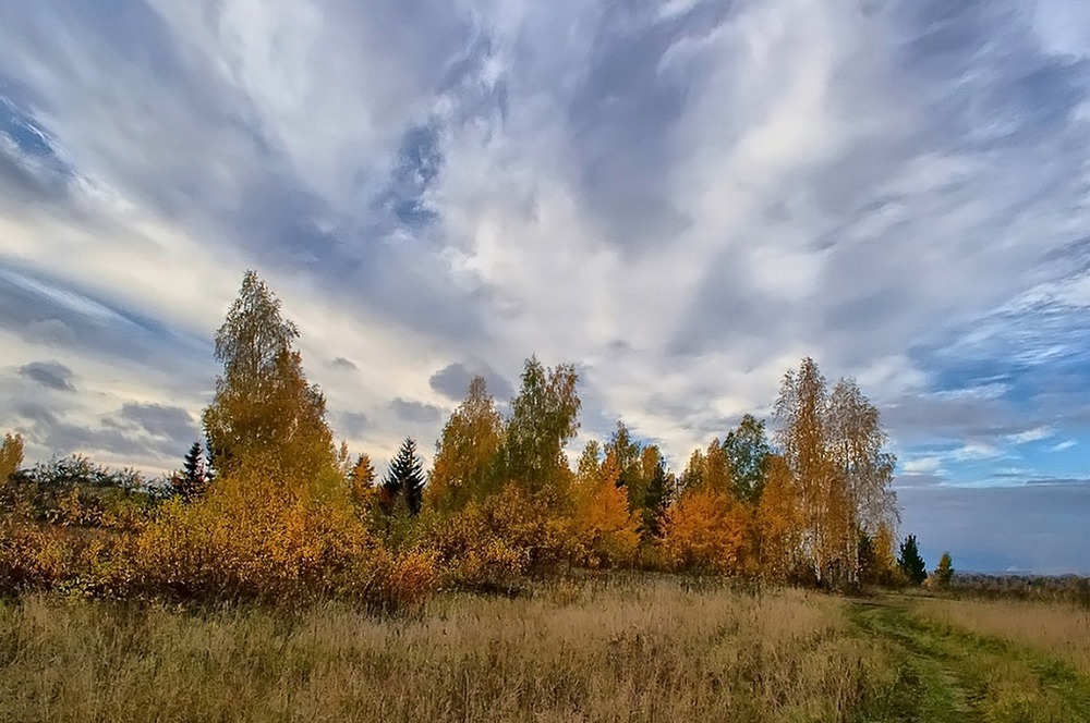 Осенний пейзаж