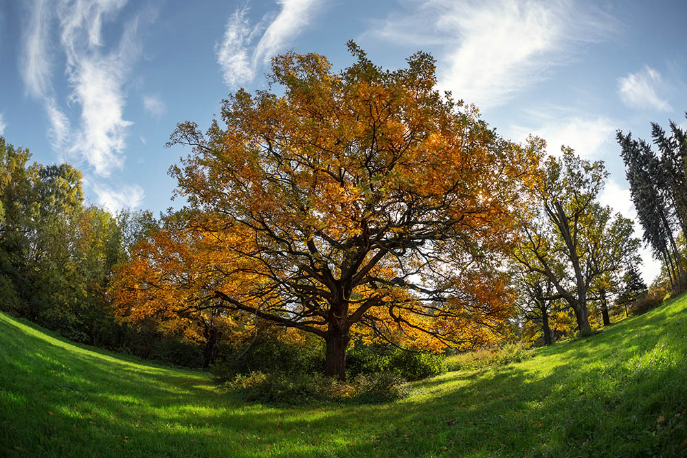 Sunny day in September