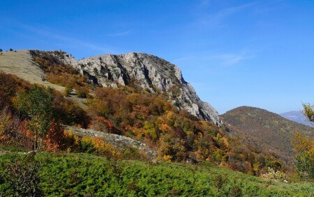 Теплый день в Крыму