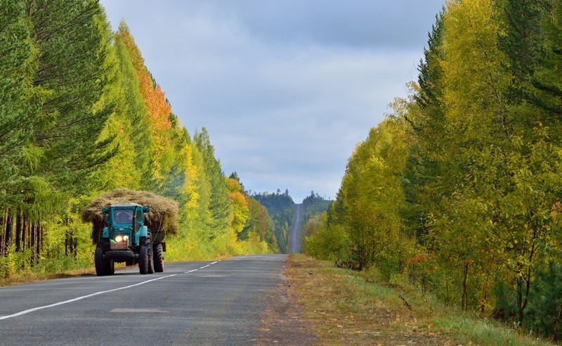 дорога в деревню