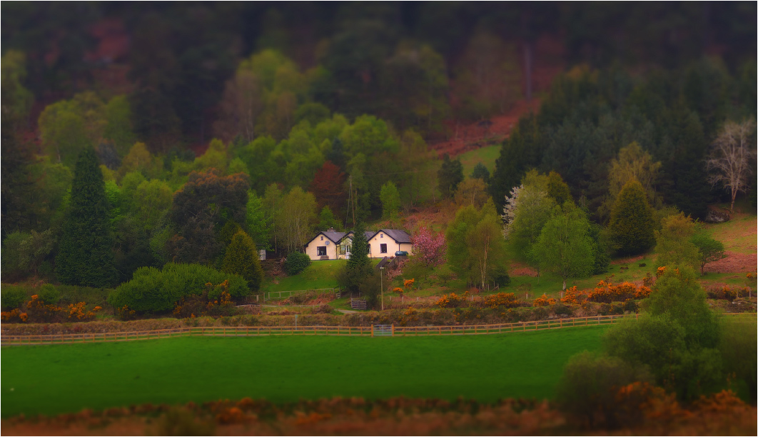 ...somewhere, in Glendalough mountains...