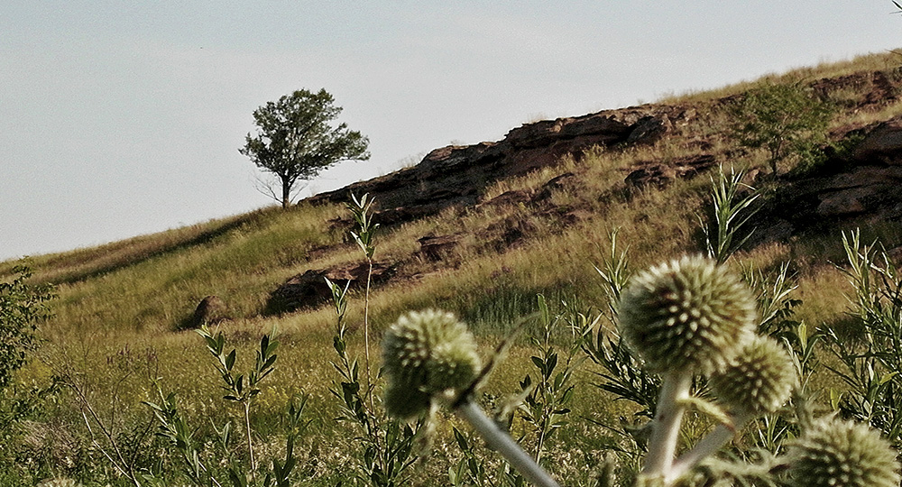 Моя жизнь