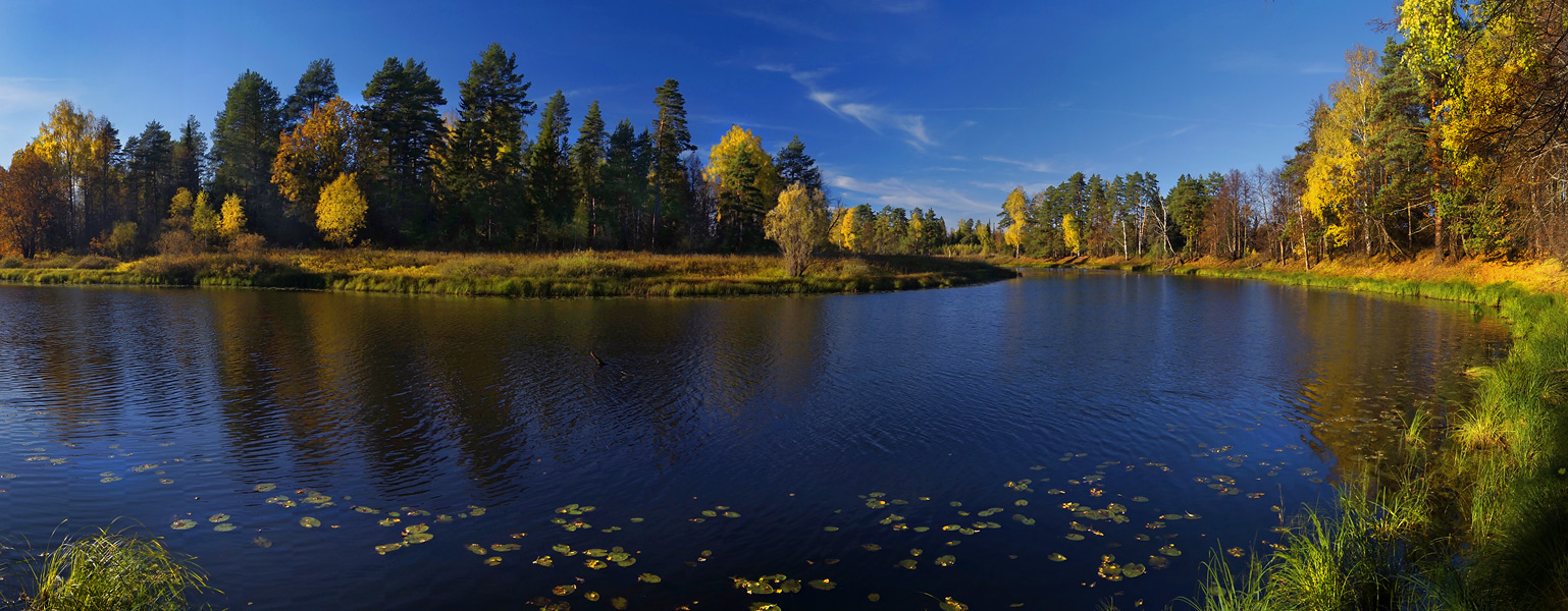 Расплескала краски осень