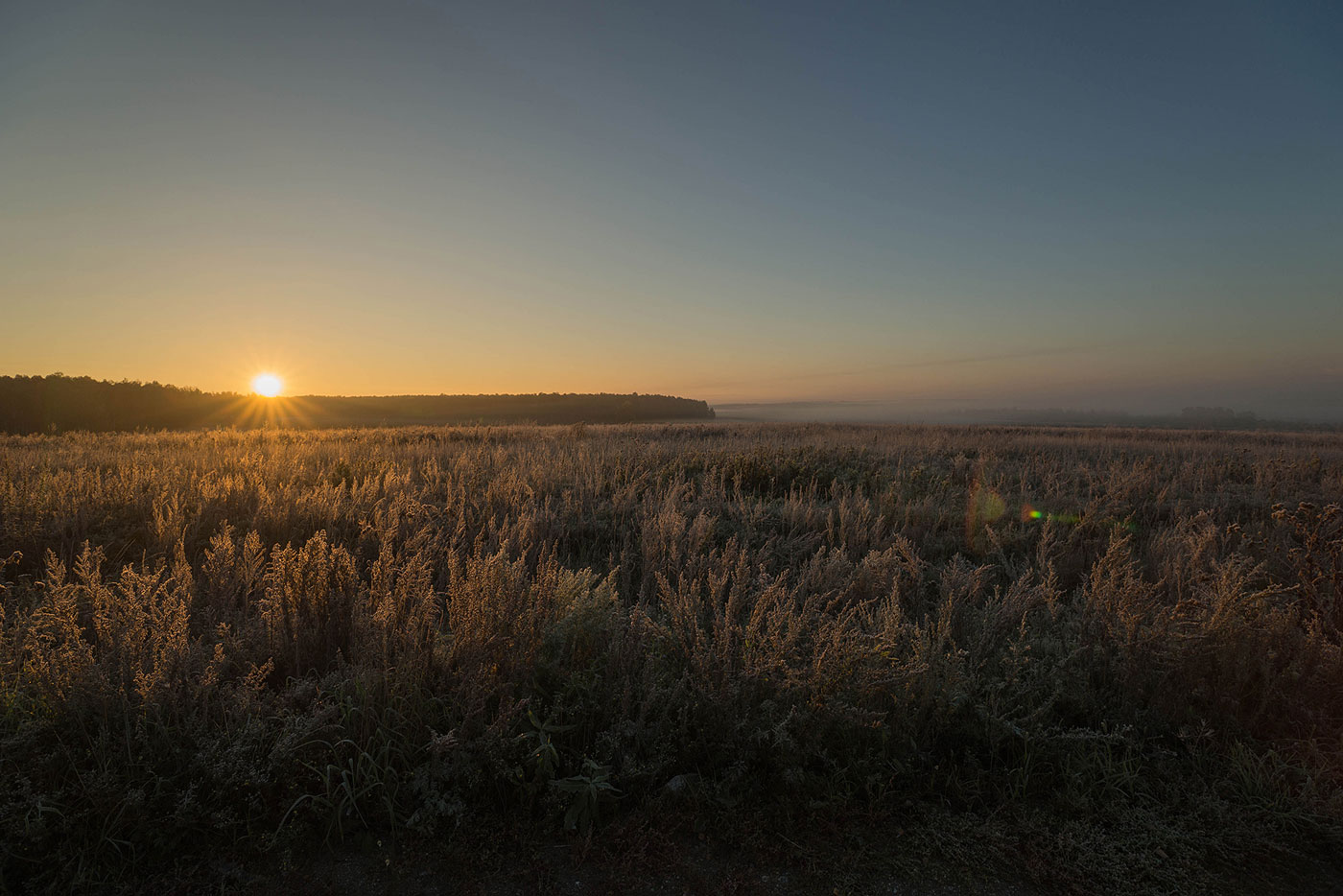 Чернобыль