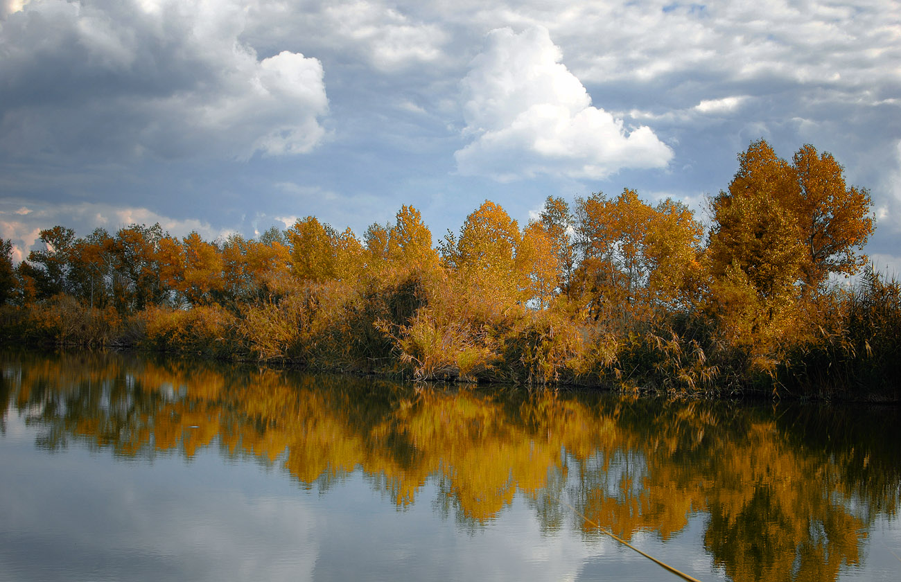 **между небом и водой**