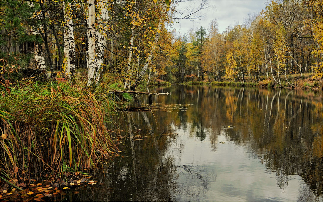 Осенняя зарисовка