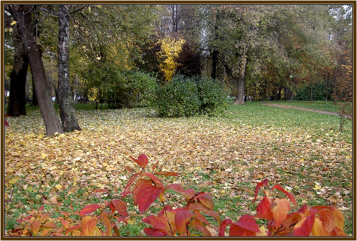 Петровский парк