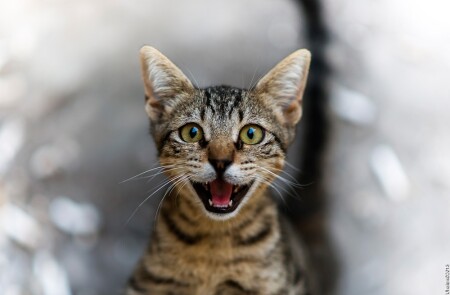 Let's smile with me!