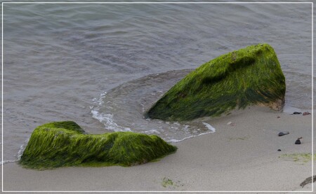 На морском берегу
