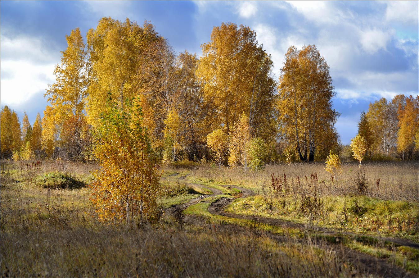 Свет и тени в октябре