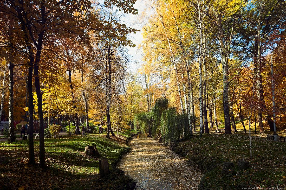 Золотая осень,парк динамо,воронеж