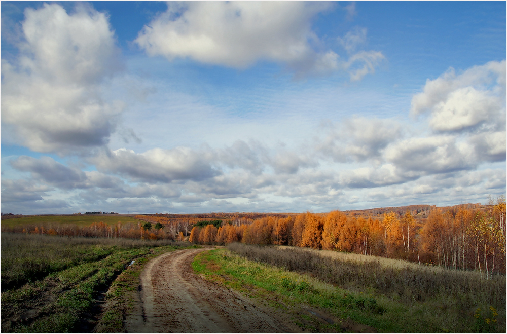 По дороге в осень