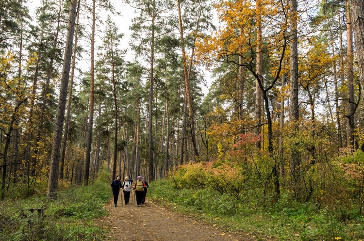 Осенняя пора