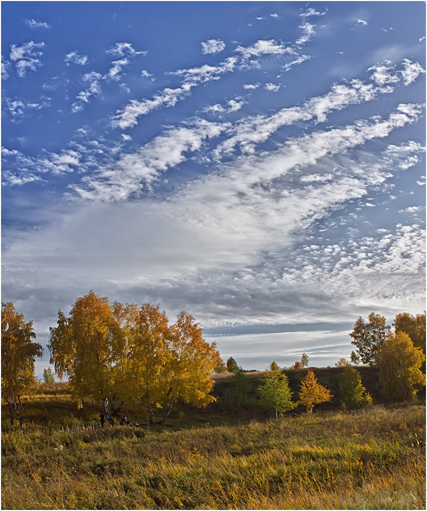 пикник без хлопот