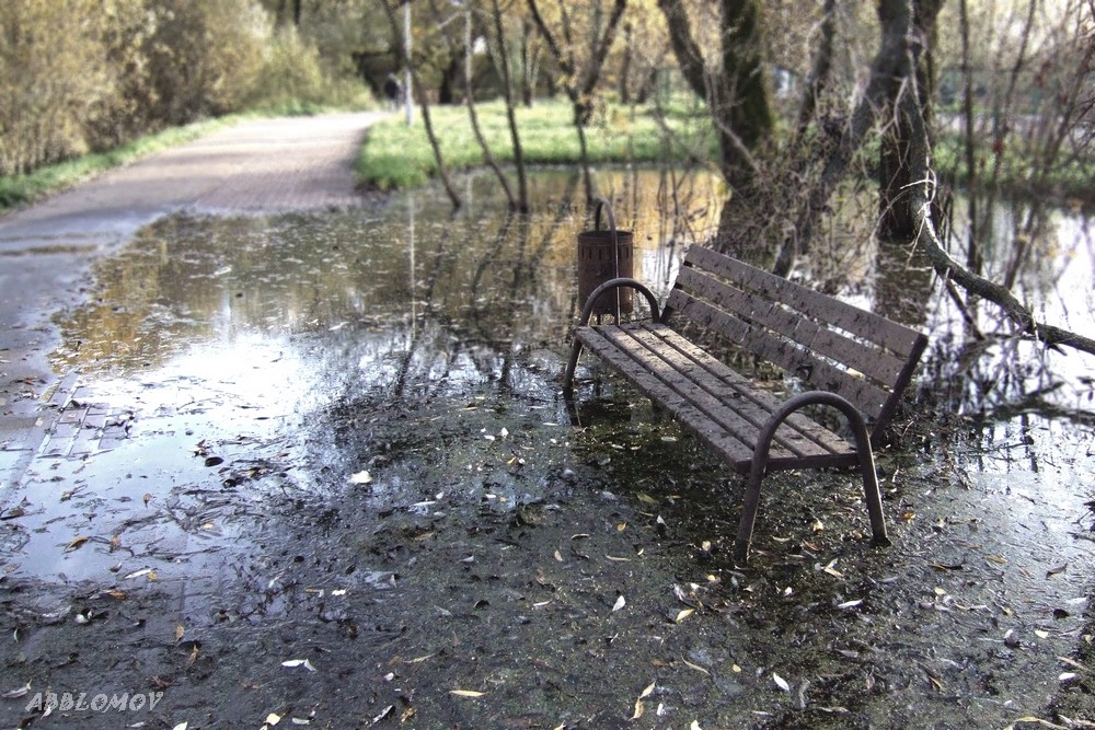 Вода, вода, кругом вода.....