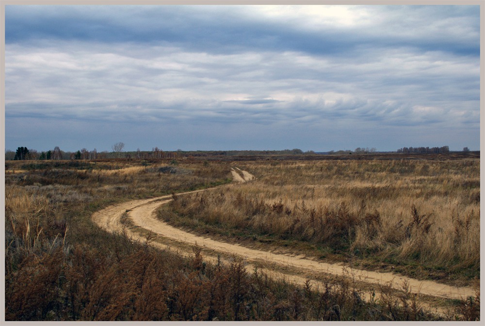 Полевая.