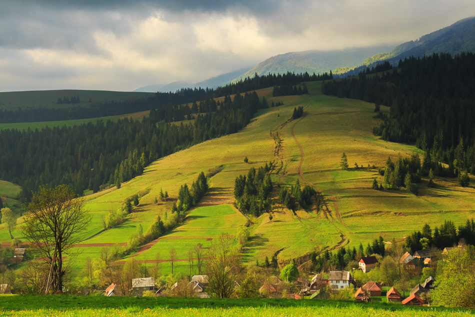 утро в карпатах