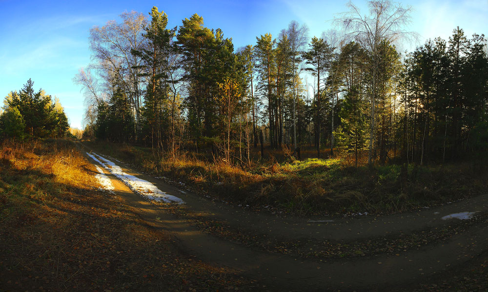 В осеннем лесу