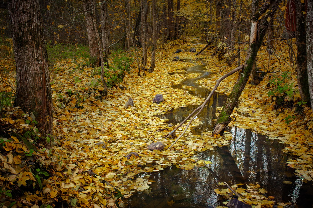 Осенняя речка