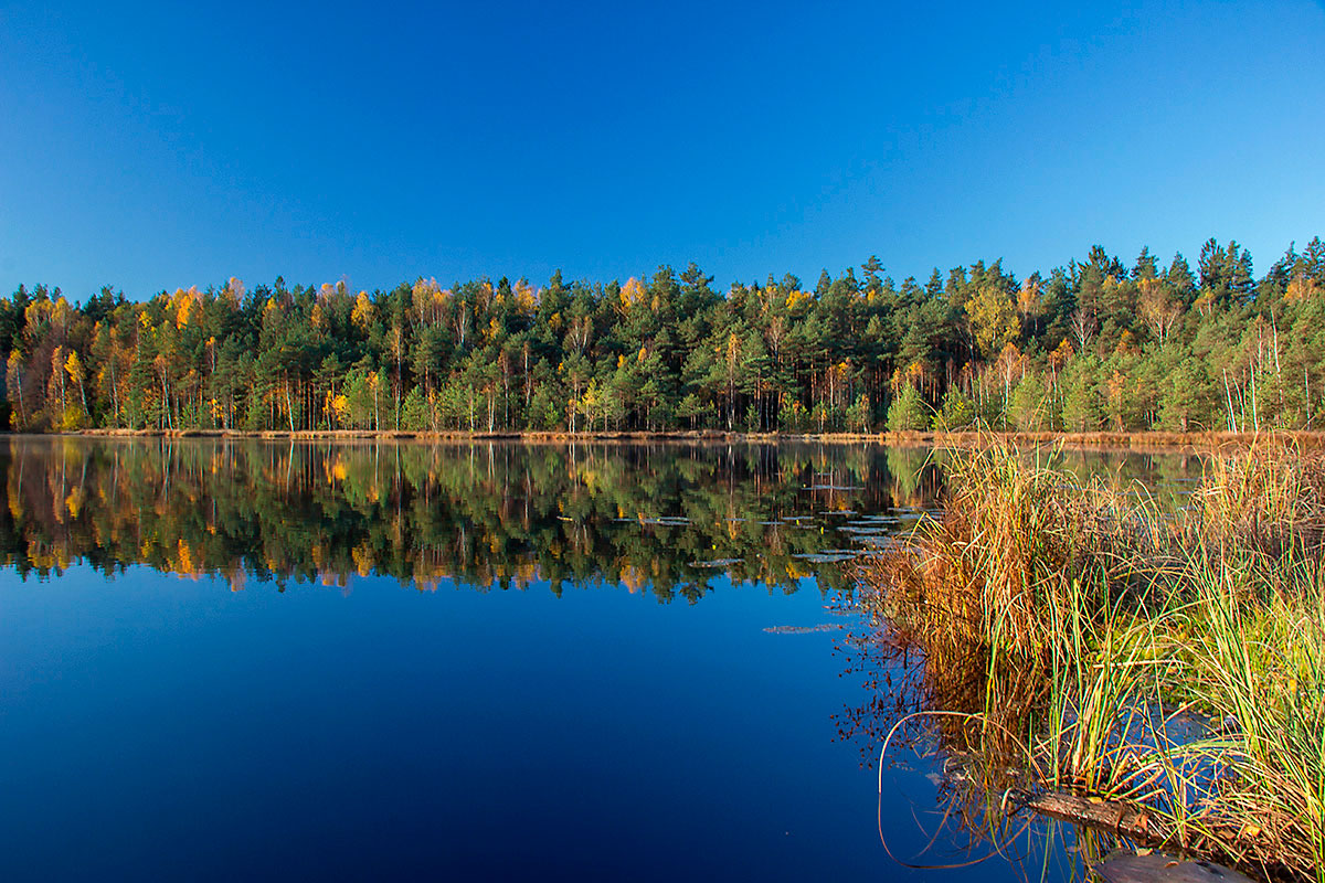 Зазеркалье