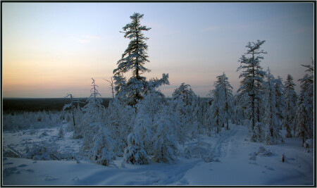 Тропинка