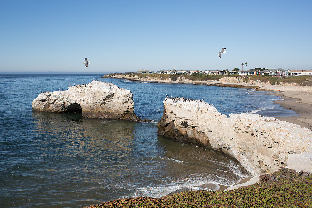 Natural Bridges, Santa Cruz