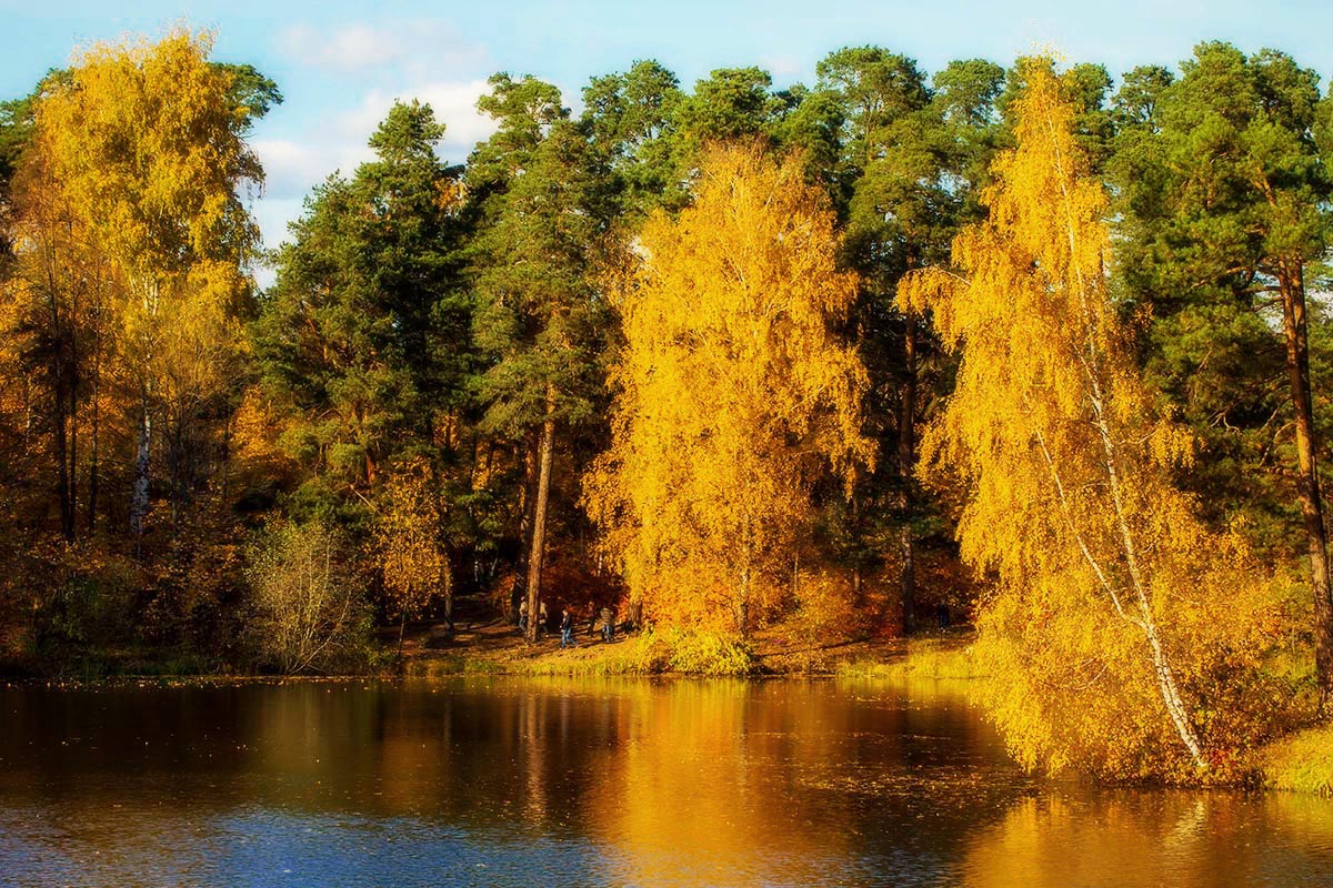 Солнечный берег