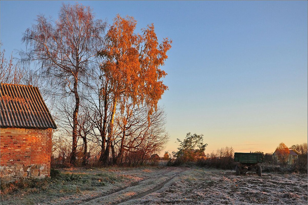 Заморозки