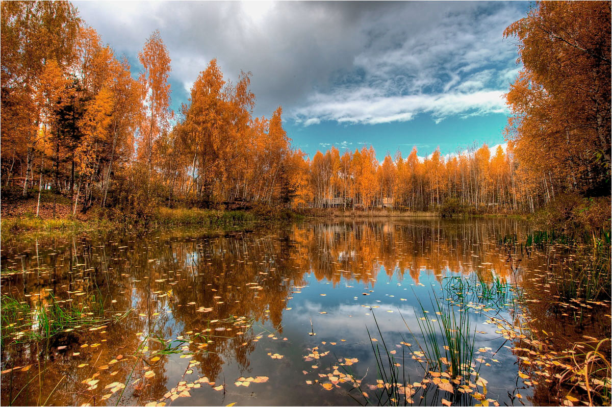 Осенние зарисовки