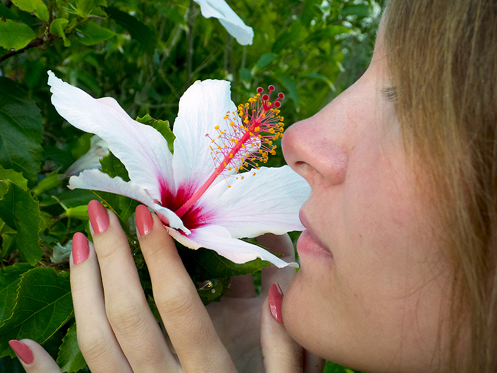 White flower