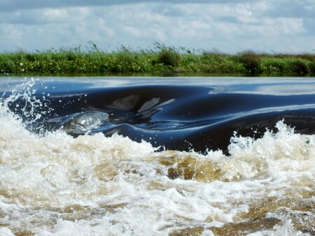 Большая вода