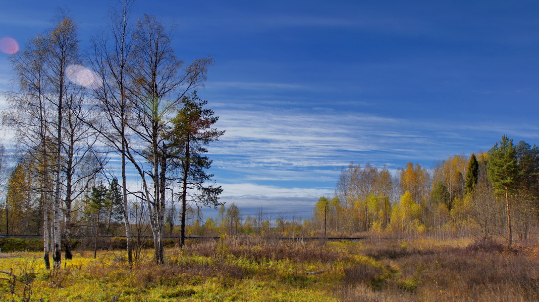 последние краски осени