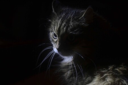 мысли о жизни