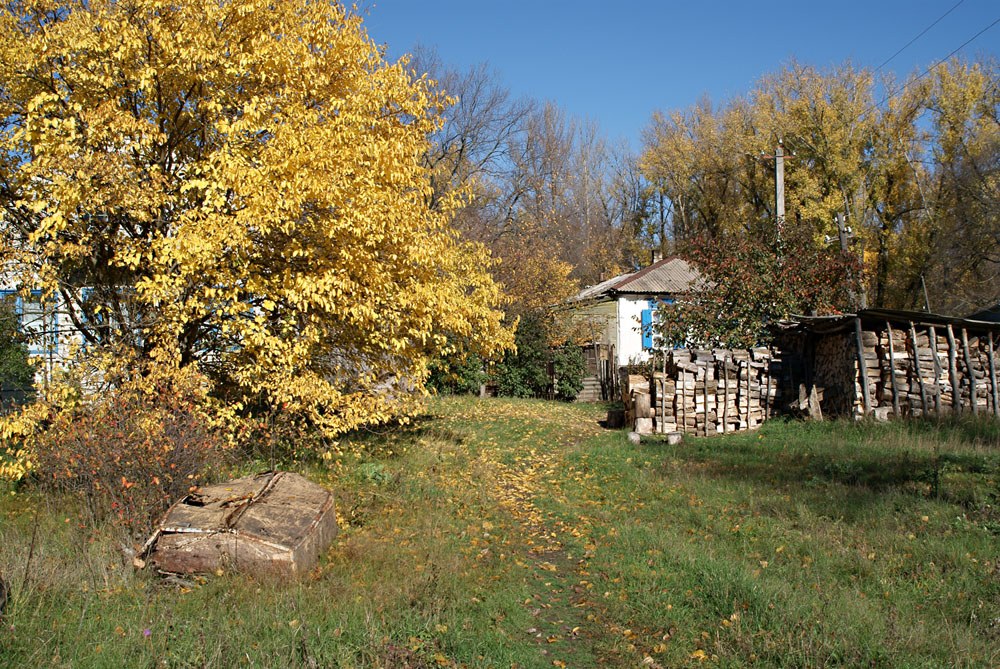 Осенним днем