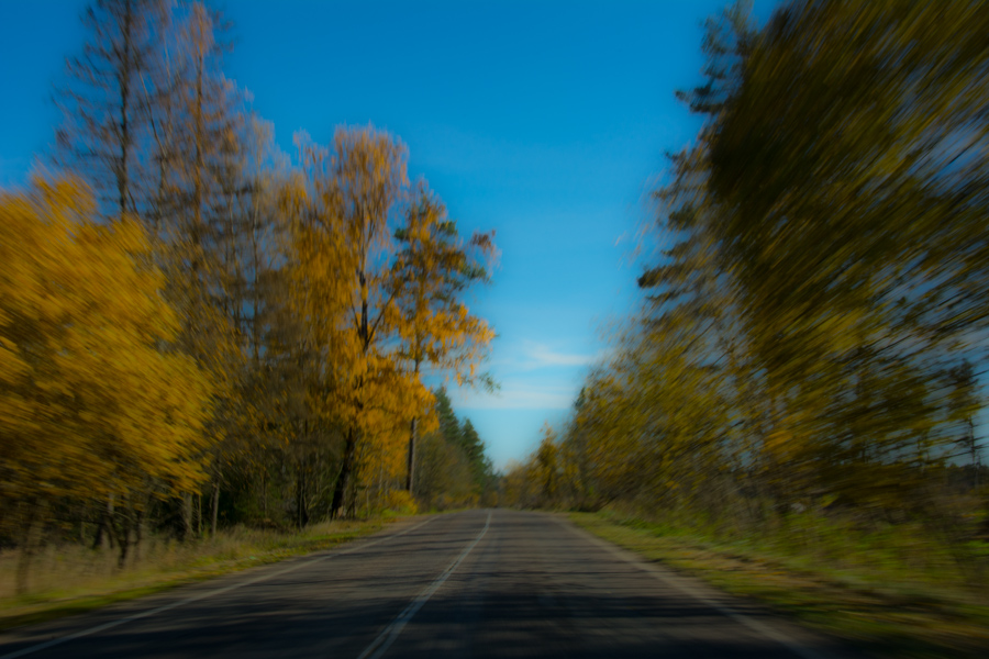 Сквозь осень