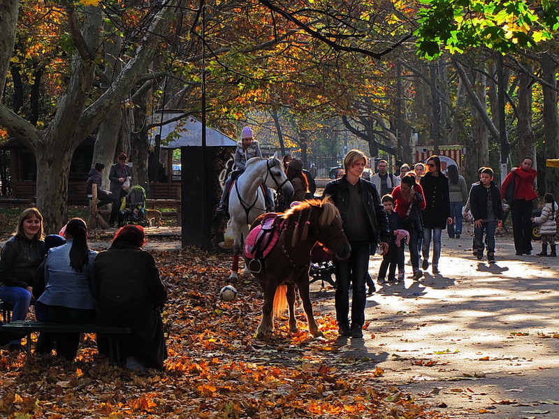 Осень в парке городском