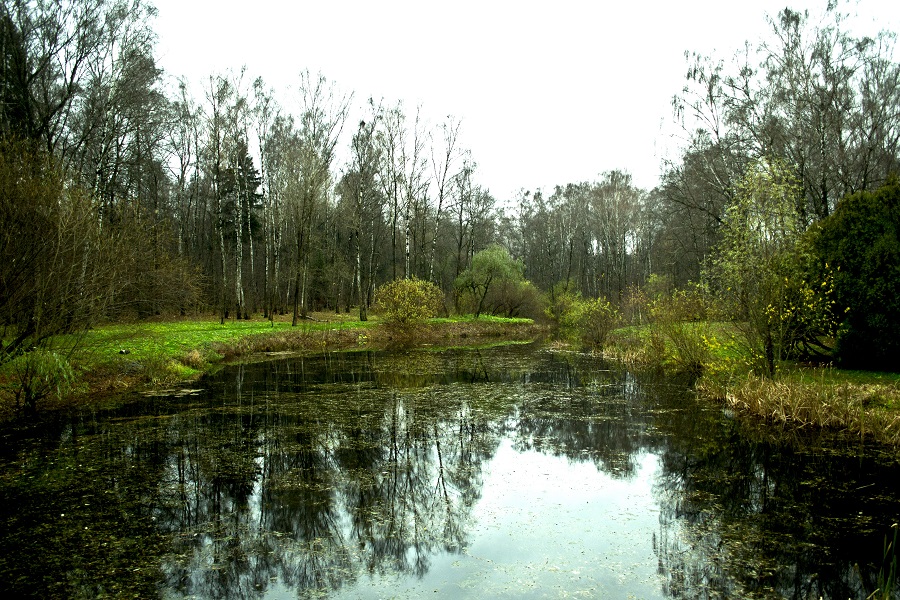 пейзаж