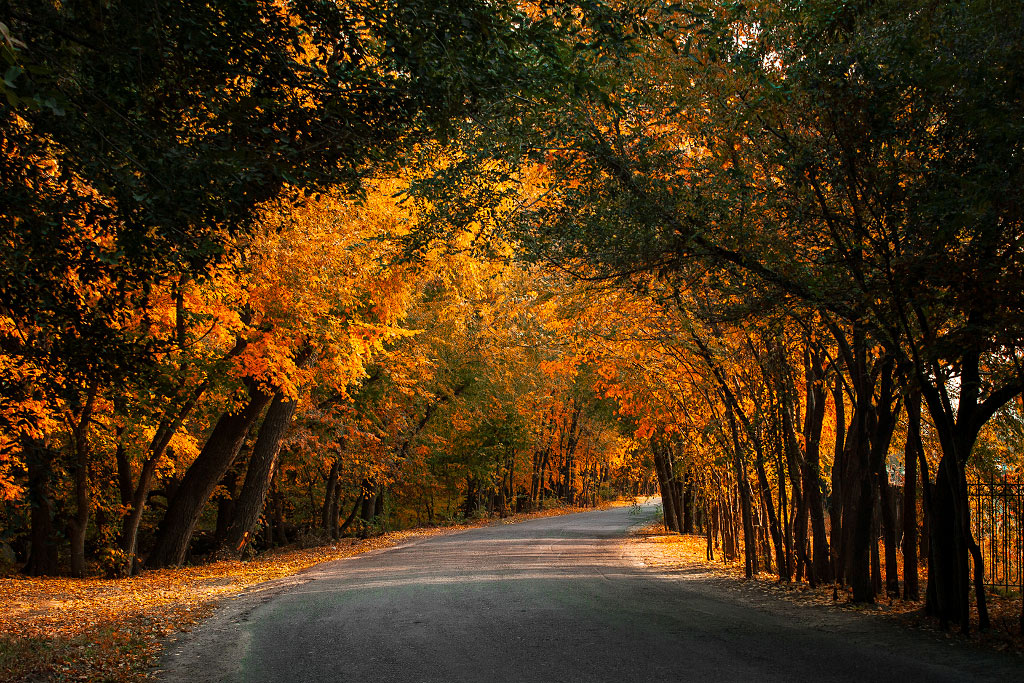 Осень в поселке