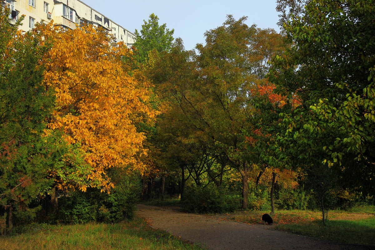 Осень в городе