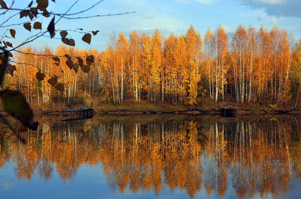 золотая осень