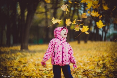 Перелетные листья