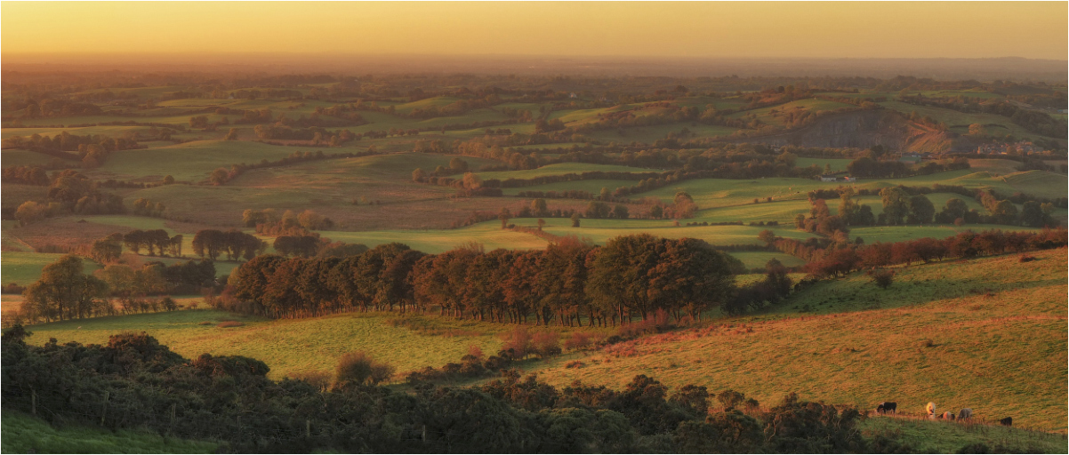 ...early morning in Meath...