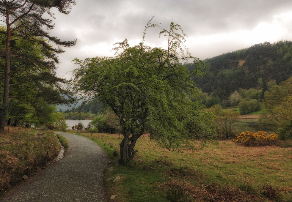 ...Glendalough trails...